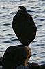 Steinmännchen 460