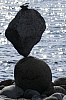 Steinmännchen 466